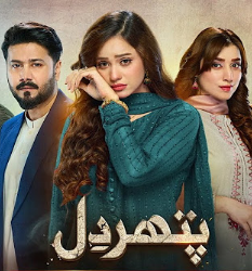 Каменное сердце / Pathar Dil